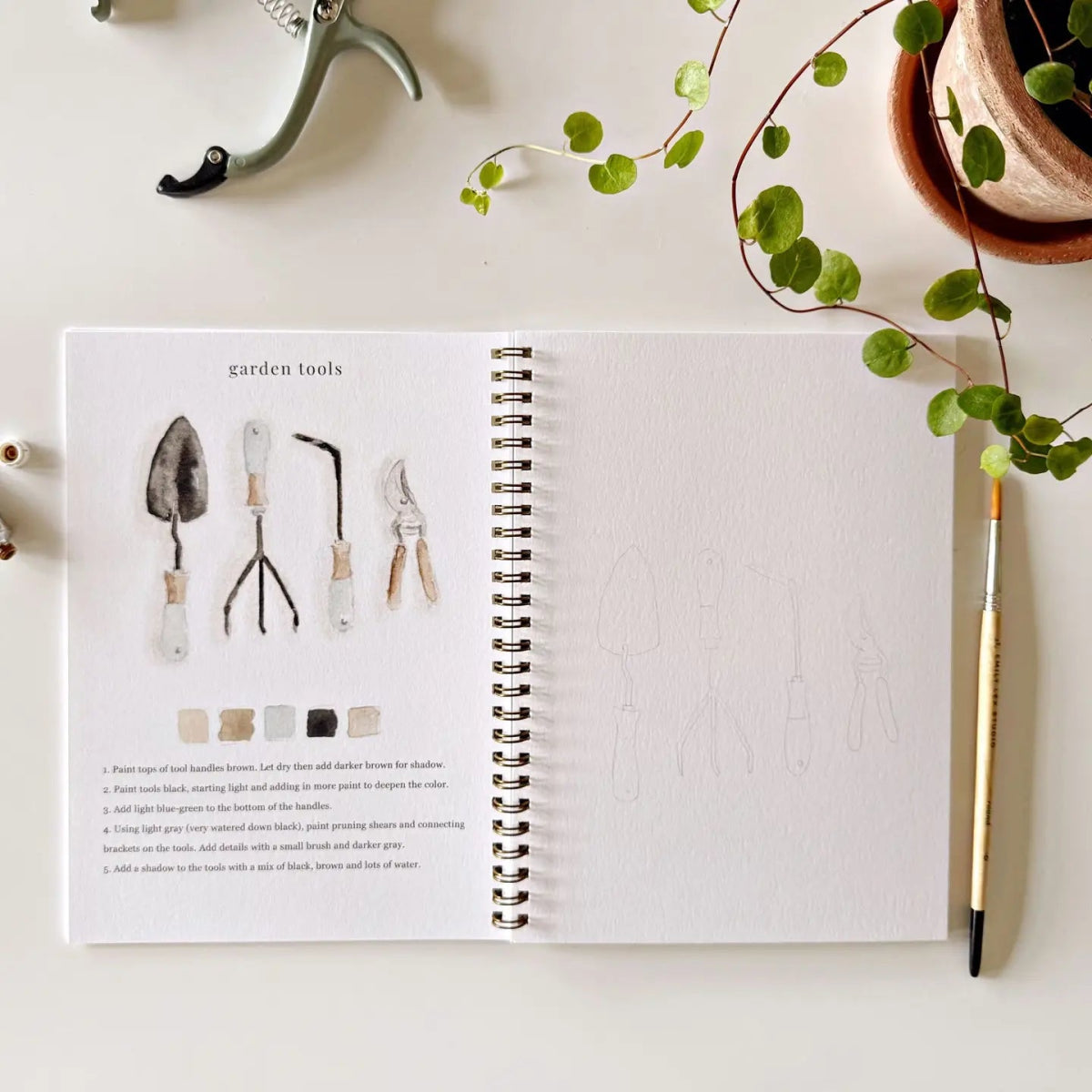 Garden Watercolor Workbook - Napa Valley Wildflower Co.