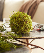 Green Moss Orb Decorative Accent - Napa Valley Wildflower Co.