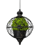 Green Moss Orb Decorative Accent - Napa Valley Wildflower Co.