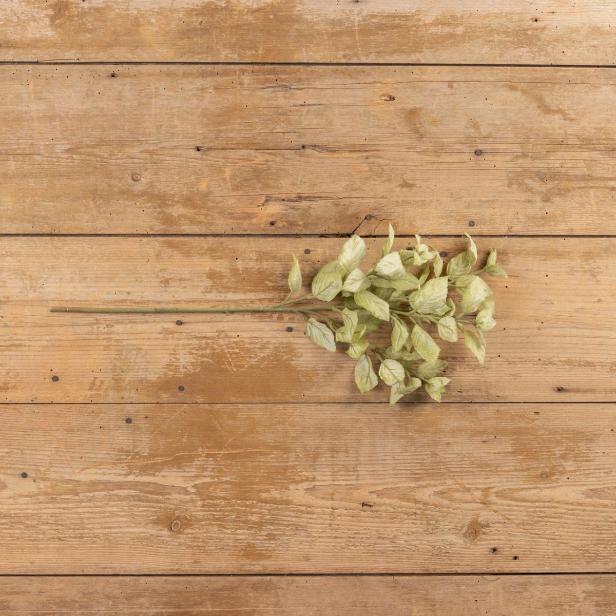 Green Perilla Leaf Spray - Napa Valley Wildflower Co.