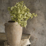 Green Perilla Leaf Spray - Napa Valley Wildflower Co.