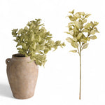 Green Perilla Leaf Spray - Napa Valley Wildflower Co.