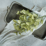 Green Perilla Leaf Spray - Napa Valley Wildflower Co.