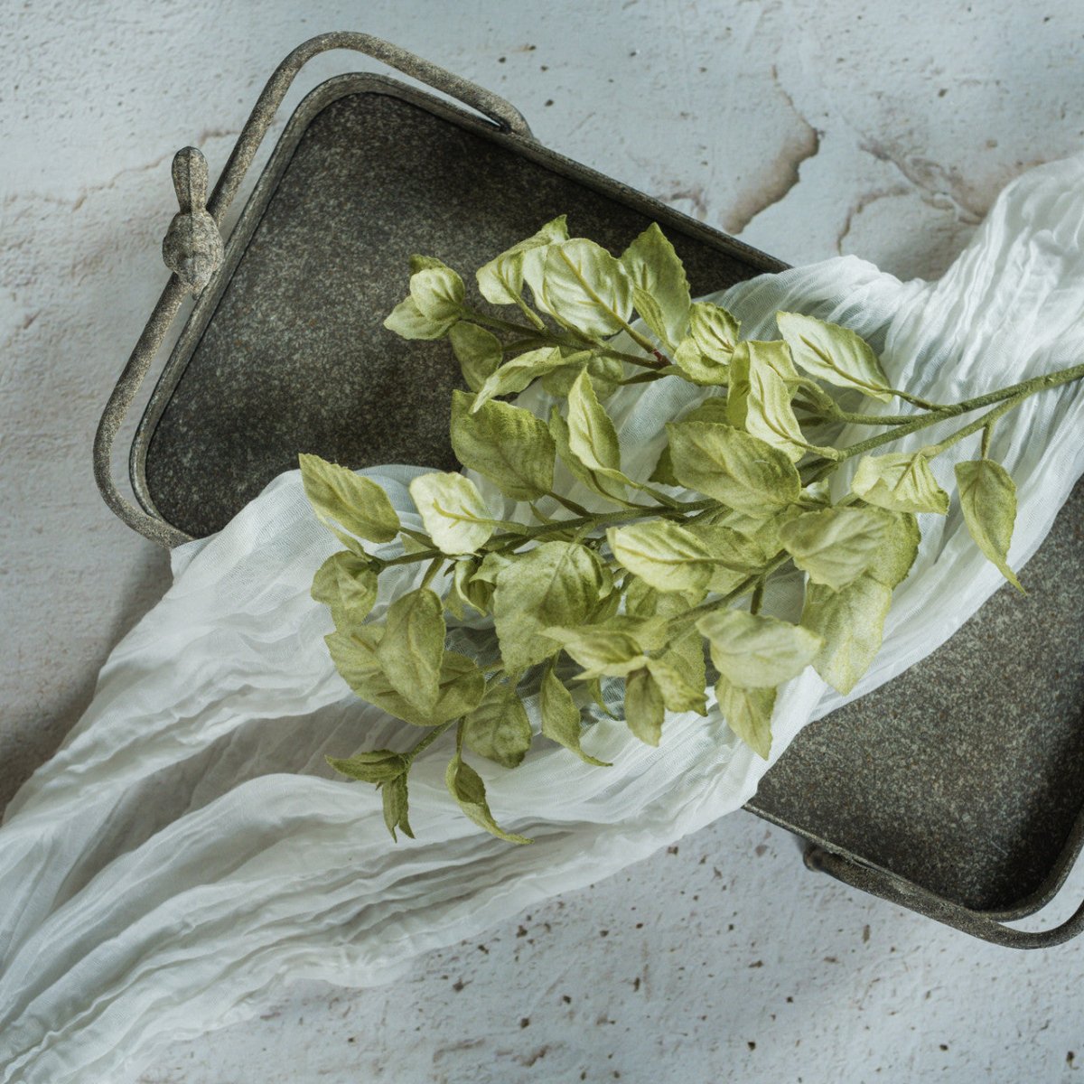 Green Perilla Leaf Spray - Napa Valley Wildflower Co.