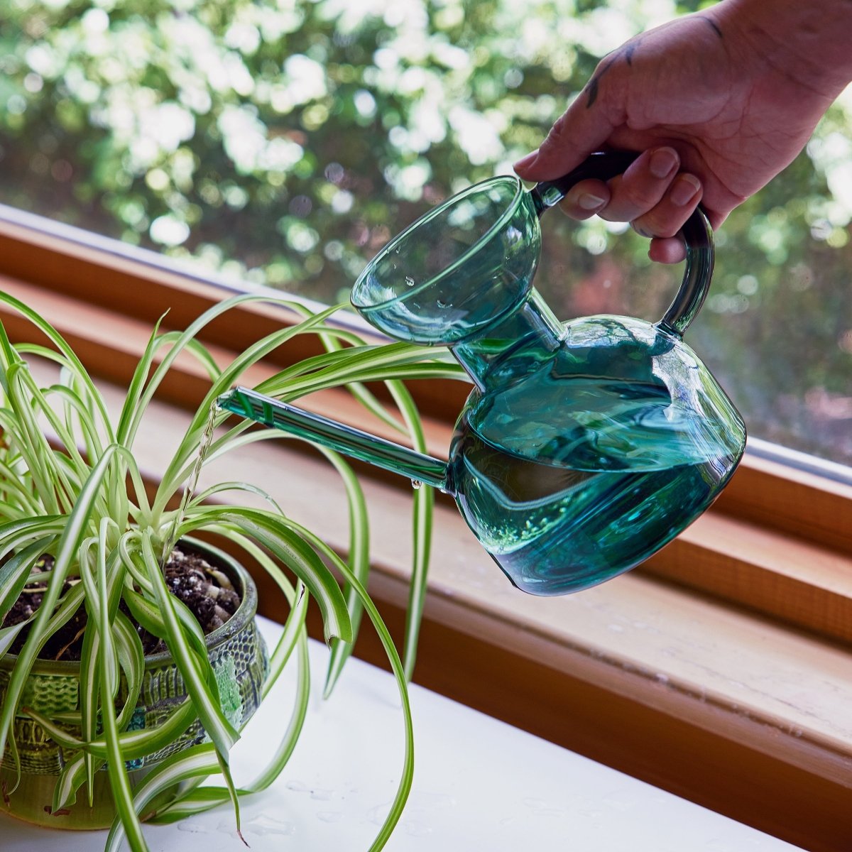 Handcrafted Borosilicate Glass Watering Can - Napa Valley Wildflower Co.