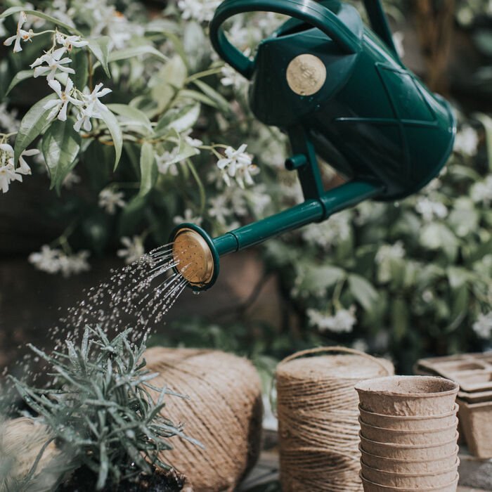 Haws Bartley Burbler Watering Can - Napa Valley Wildflower Co.