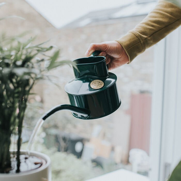 Haws Fazeley Flow Watering Can - Napa Valley Wildflower Co.