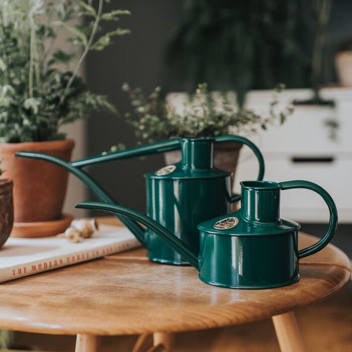 Haws Fazeley Flow Watering Can - Napa Valley Wildflower Co.