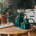 Haws Fazeley Flow Watering Can - Napa Valley Wildflower Co.