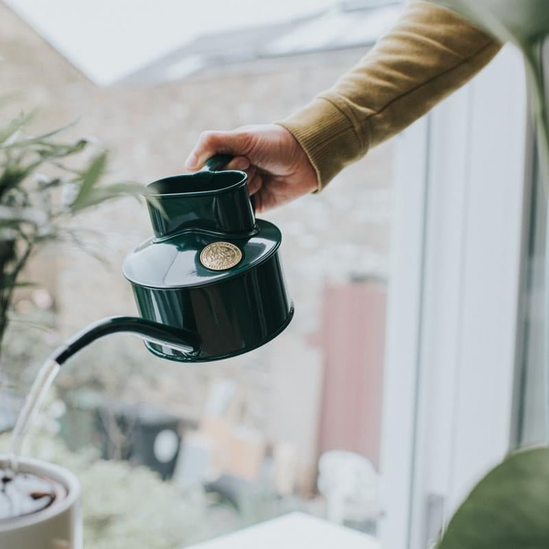 Haws Fazeley Flow Watering Can - Napa Valley Wildflower Co.