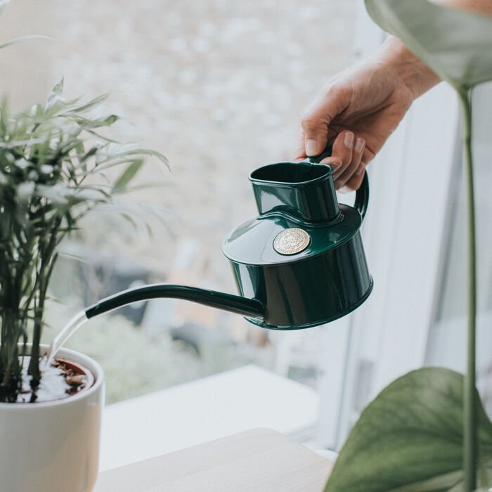 Haws Fazeley Flow Watering Can - Napa Valley Wildflower Co.