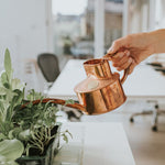Haws Fazeley Flow Watering Can - Napa Valley Wildflower Co.