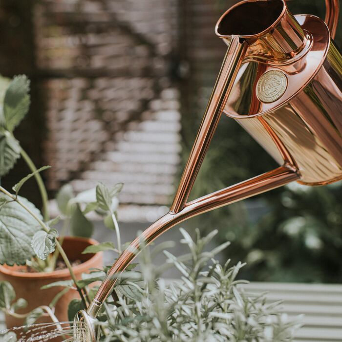 Haws Gardener Gift Set: Watering Can & Spritzer - Napa Valley Wildflower Co.