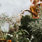 Haws Gardener Gift Set: Watering Can & Spritzer - Napa Valley Wildflower Co.
