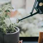 Haws Langley Sprinkler - Watering Can - Napa Valley Wildflower Co.