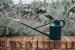 Haws Warley Fall - Watering Can - Napa Valley Wildflower Co.