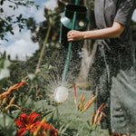 Haws Warley Fall - Watering Can - Napa Valley Wildflower Co.