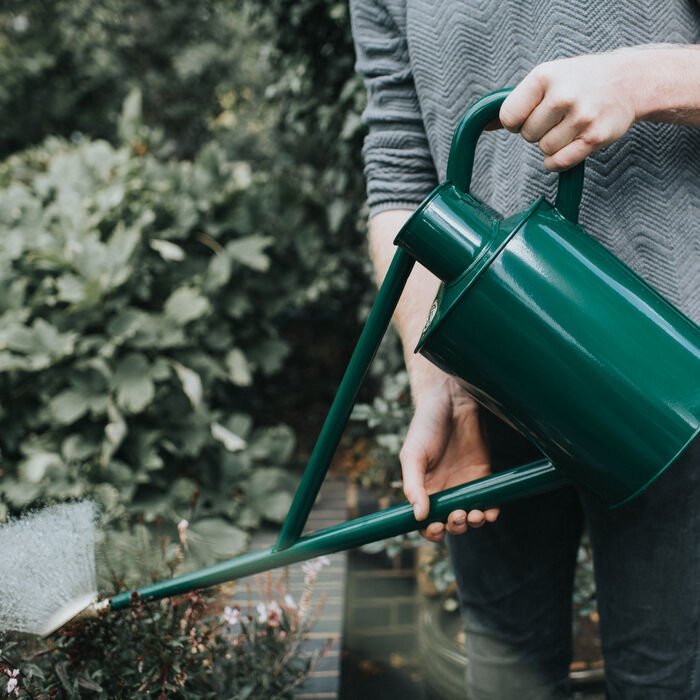 Haws Warley Fall - Watering Can - Napa Valley Wildflower Co.