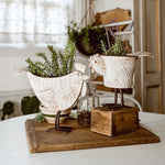 Indoor/Outdoor Distressed Hen Planter, Choose Your Style - Napa Valley Wildflower Co.