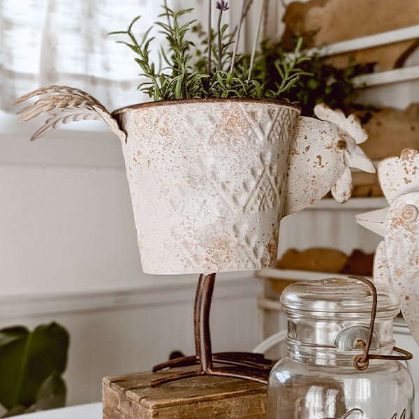 Indoor/Outdoor Distressed Hen Planter, Choose Your Style - Napa Valley Wildflower Co.