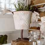 Indoor/Outdoor Distressed Hen Planter, Choose Your Style - Napa Valley Wildflower Co.
