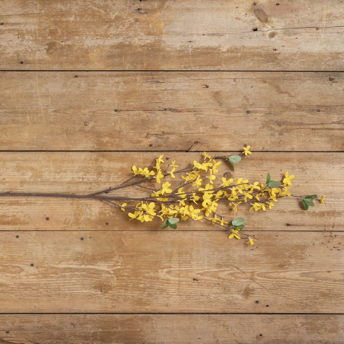 Lifelike Faux Forsythia Branch - Year - Round Spring Magic - Napa Valley Wildflower Co.