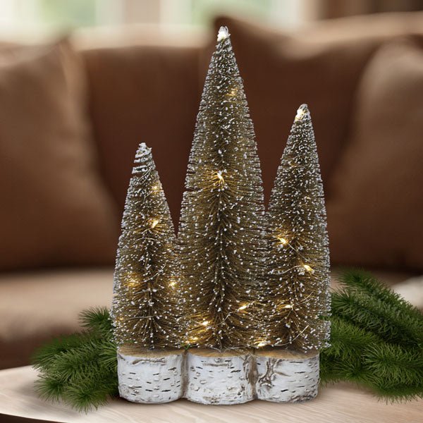 Lit Gold Tree Trio | Effortless Holiday Shimmer - Napa Valley Wildflower Co.