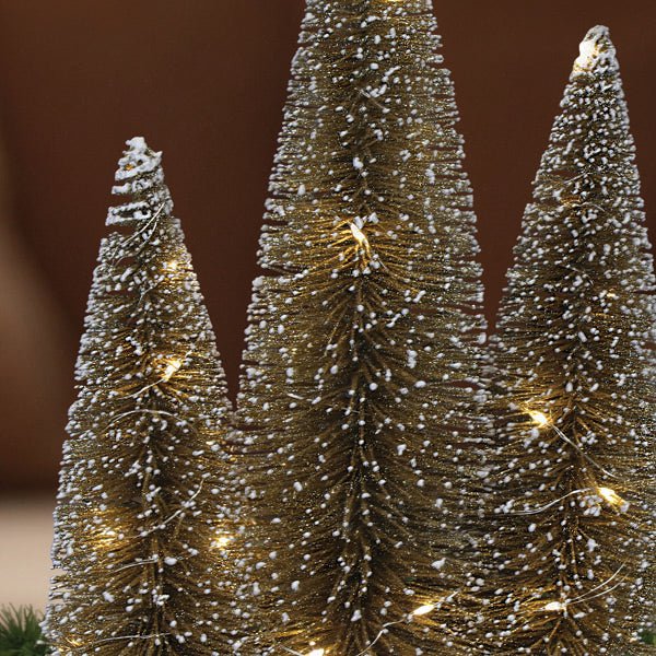 Lit Gold Tree Trio | Effortless Holiday Shimmer - Napa Valley Wildflower Co.