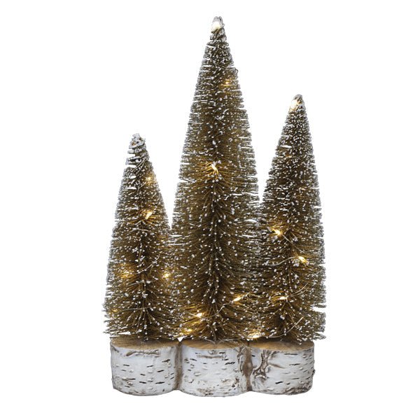 Lit Gold Tree Trio | Effortless Holiday Shimmer - Napa Valley Wildflower Co.