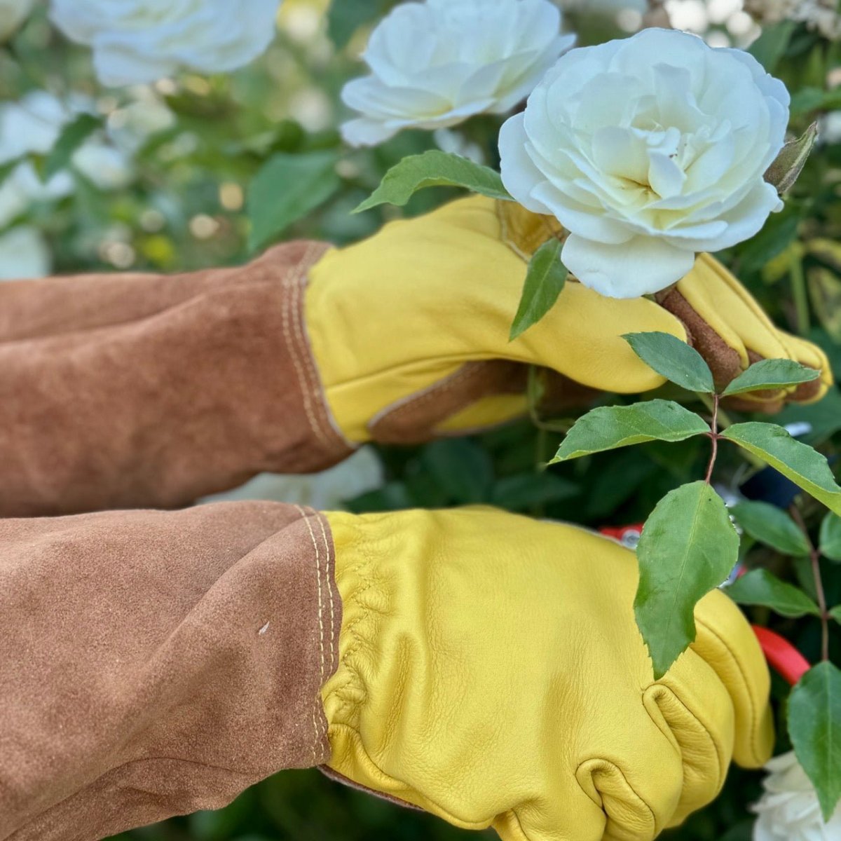 Long Garden Gloves | Soft Cowhide - Napa Valley Wildflower Co.