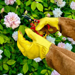 Long Garden Gloves | Soft Cowhide - Napa Valley Wildflower Co.