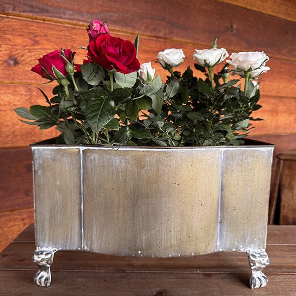 Metal Footed Planters, Set of Two - Napa Valley Wildflower Co.