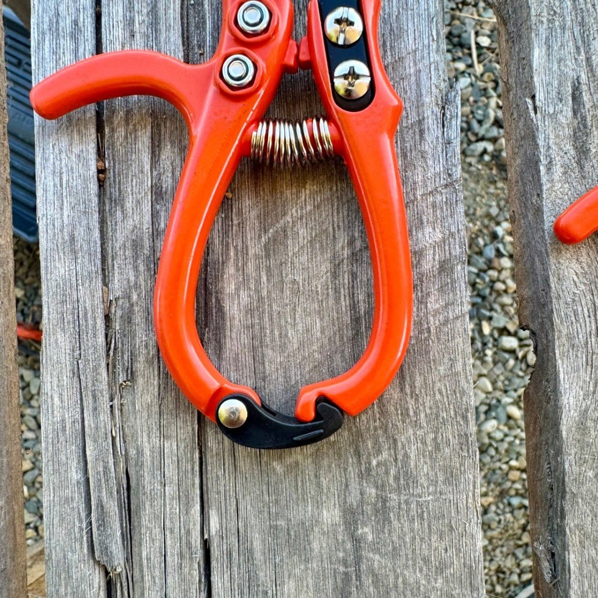 Mini Hand Pruner Gift Set - Ergonomic Pruners - Napa Valley Wildflower Co.