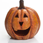 Orange Big Mouth Pumpkins - Napa Valley Wildflower Co.