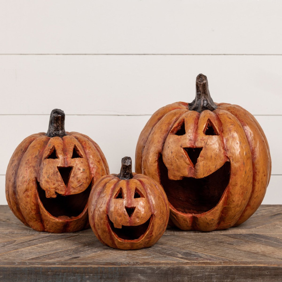 Orange Big Mouth Pumpkins - Napa Valley Wildflower Co.