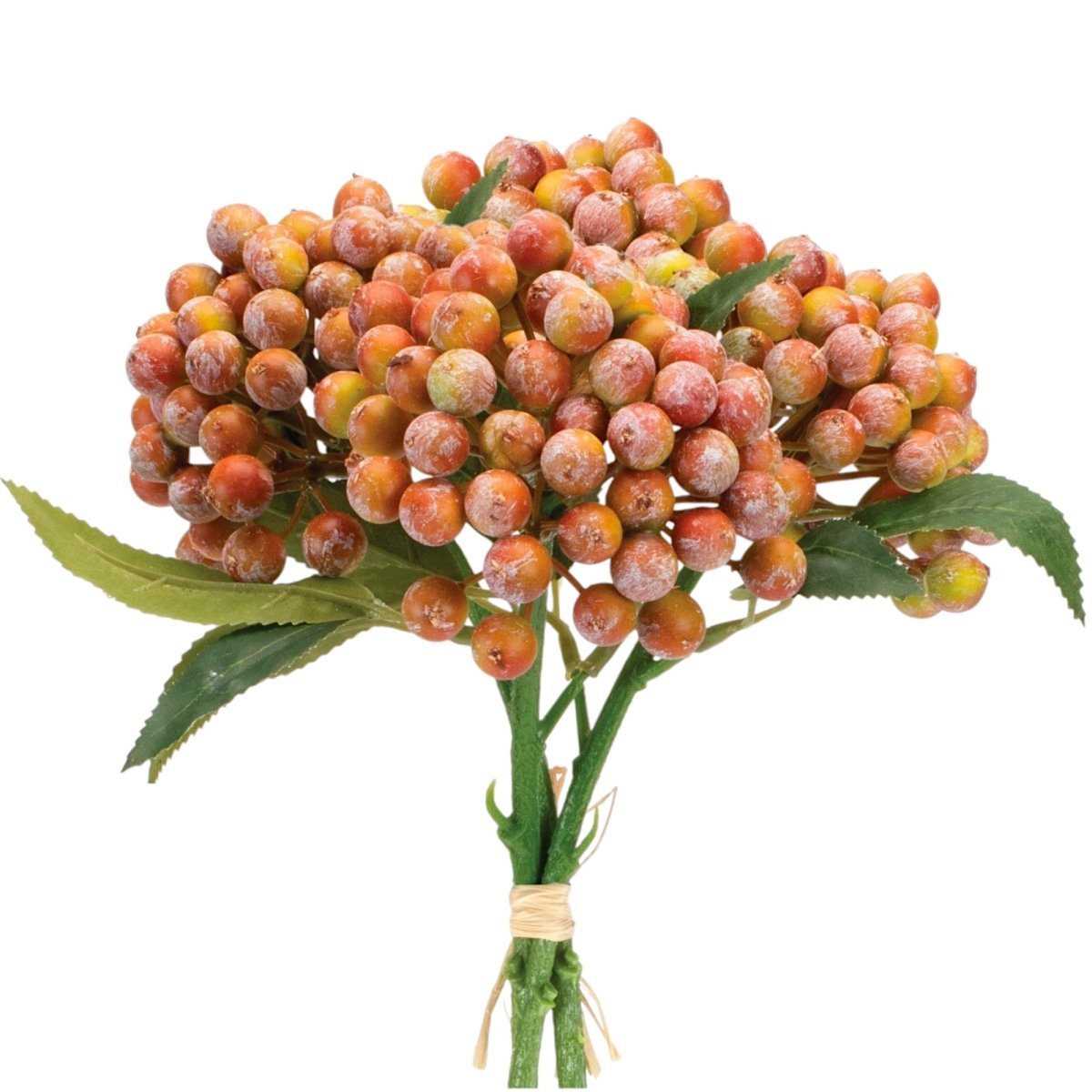 Orange Red Berry Bouquet Bundle - Napa Valley Wildflower Co.