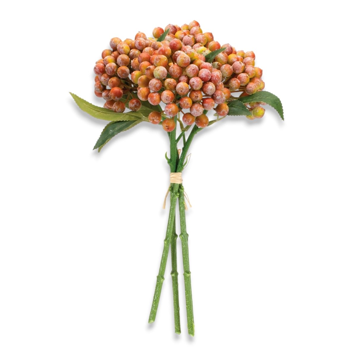 Orange Red Berry Bouquet Bundle - Napa Valley Wildflower Co.