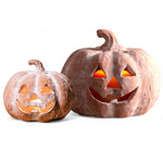 Orange Terracotta Jack - O - Lantern Pumpkins | 2 Sizes - Napa Valley Wildflower Co.