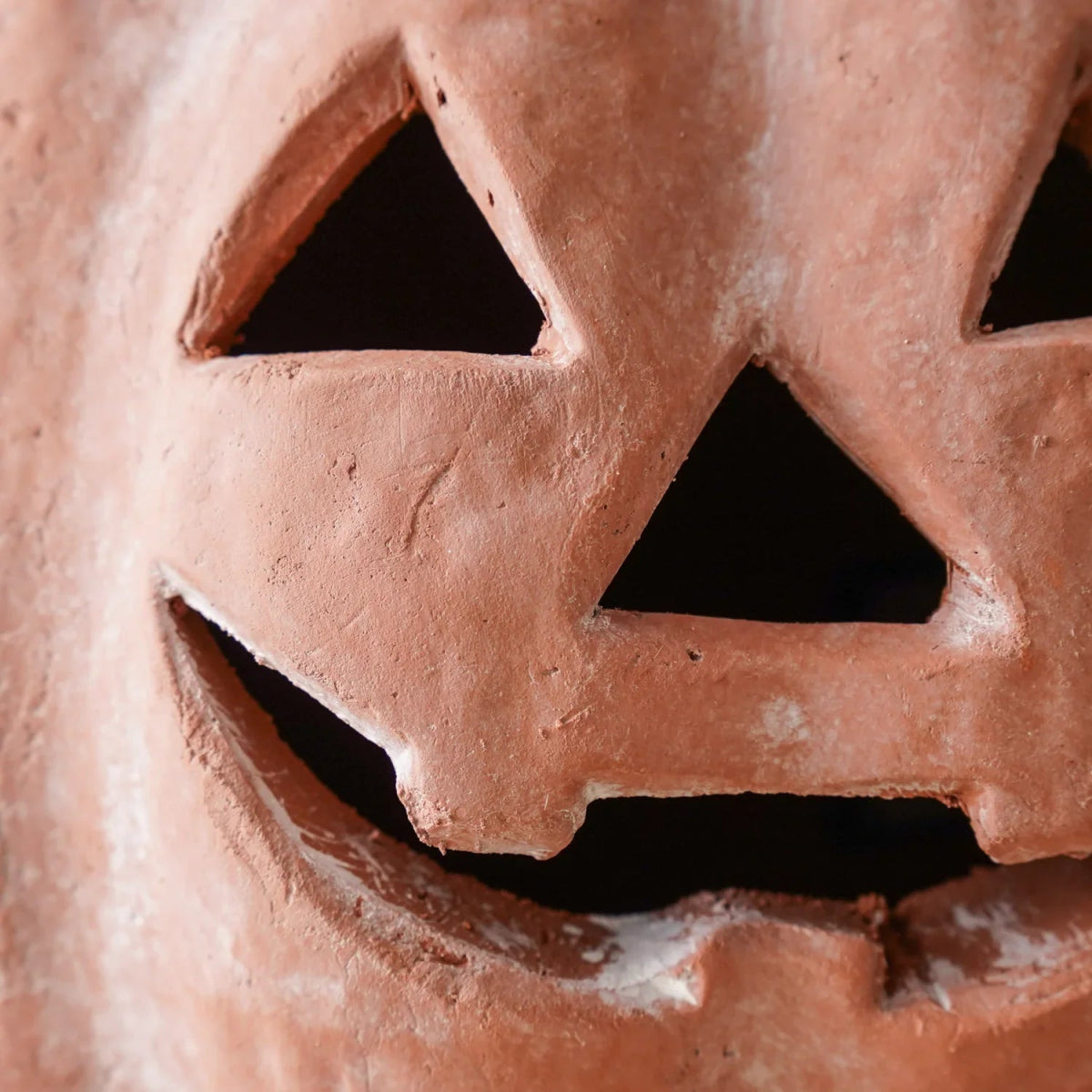 Orange Terracotta Jack - O - Lantern Pumpkins | 2 Sizes - Napa Valley Wildflower Co.