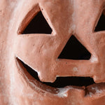 Orange Terracotta Jack - O - Lantern Pumpkins | 2 Sizes - Napa Valley Wildflower Co.