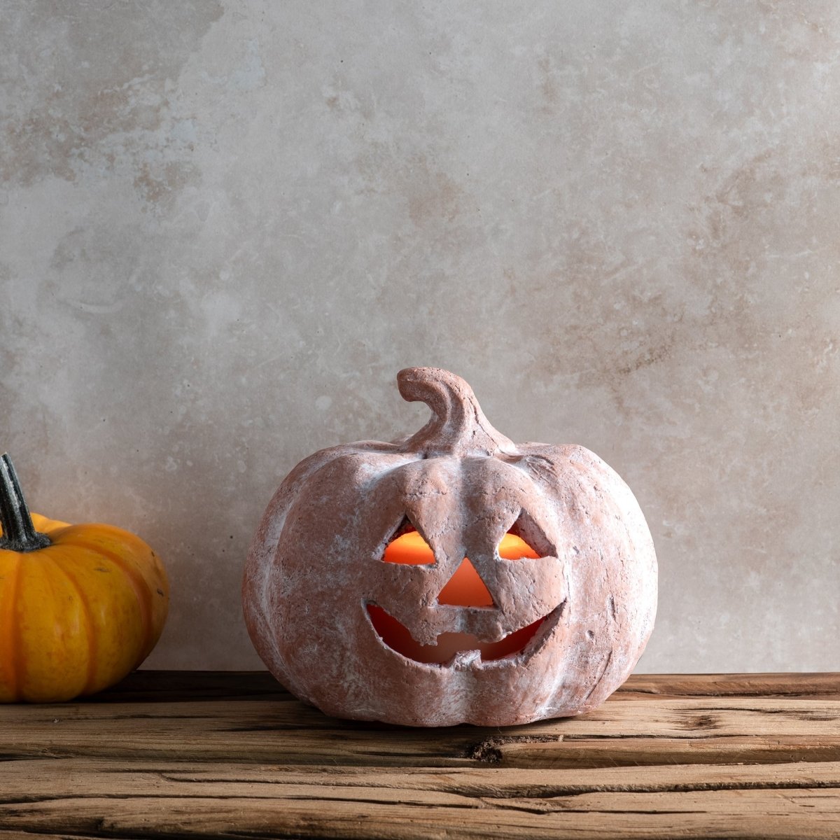 Orange Terracotta Jack - O - Lantern Pumpkins | 2 Sizes - Napa Valley Wildflower Co.