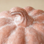 Orange Terracotta Jack - O - Lantern Pumpkins | 2 Sizes - Napa Valley Wildflower Co.