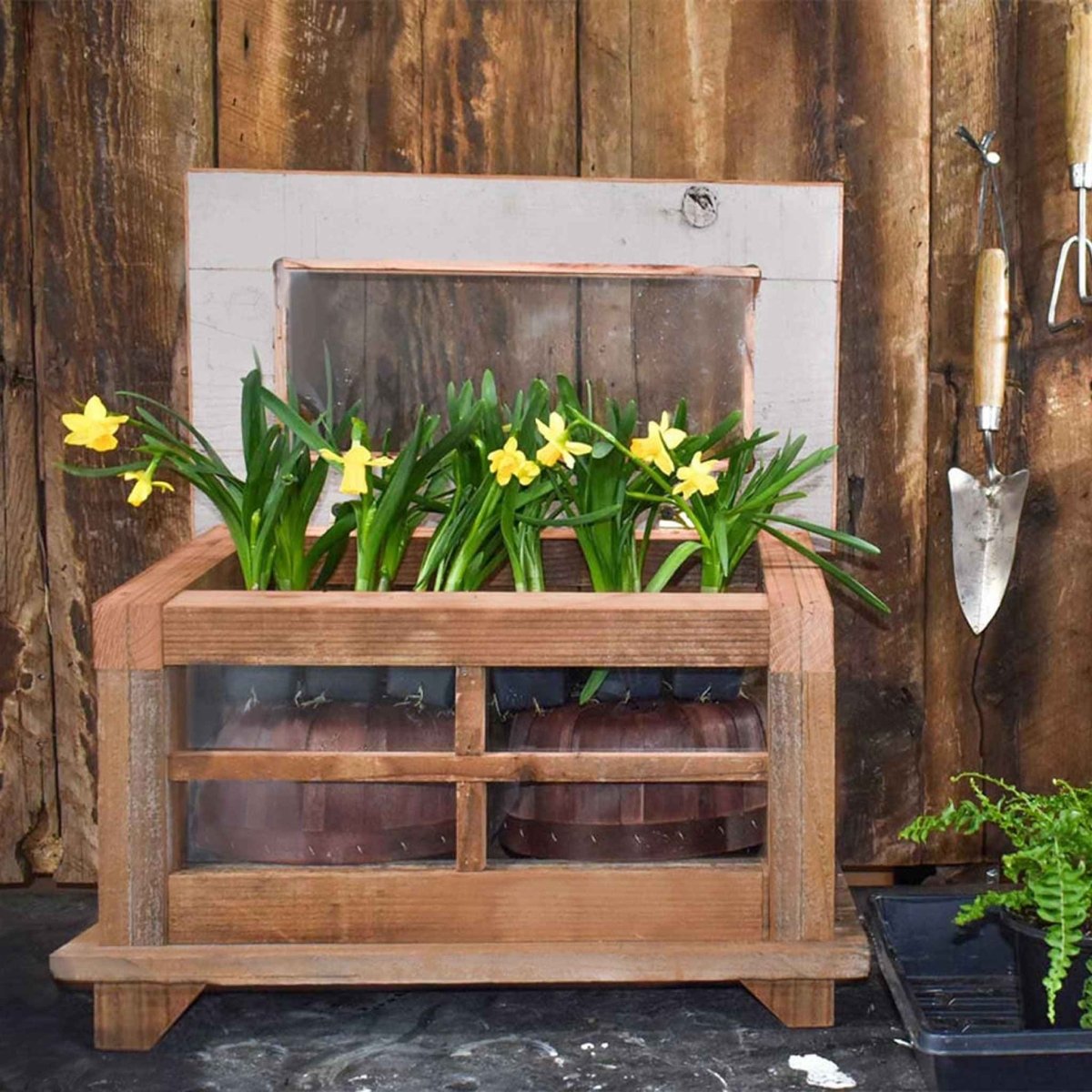 Outdoor Redwood Gardening Planter Box & Glass Terrarium - Napa Valley Wildflower Co.