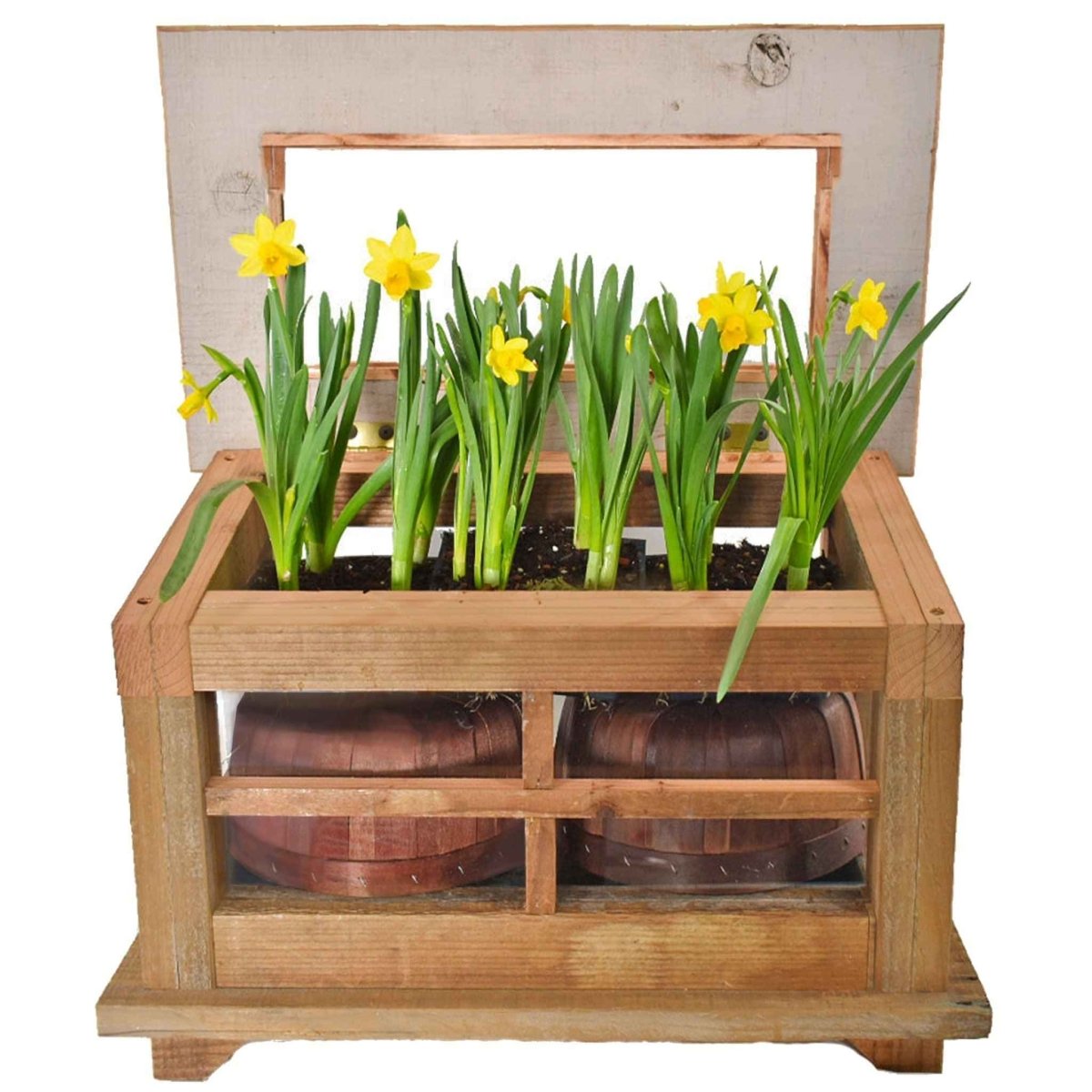 Outdoor Redwood Gardening Planter Box & Glass Terrarium - Napa Valley Wildflower Co.