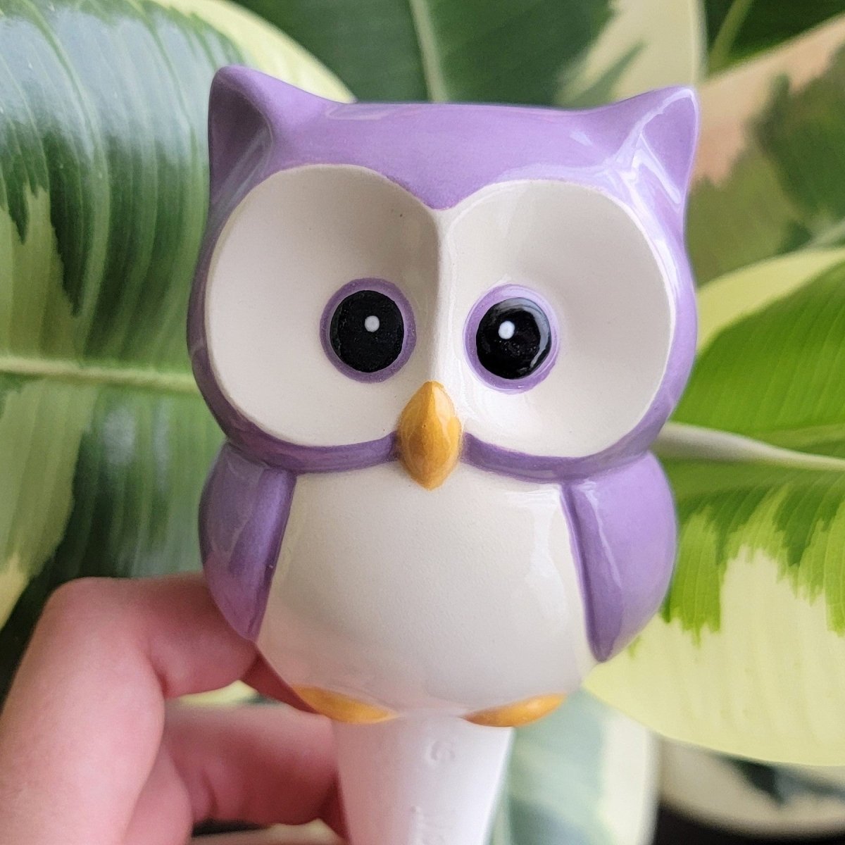 Owl Ceramic Watering Spike - Napa Valley Wildflower Co.