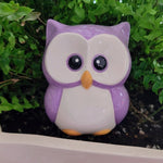 Owl Ceramic Watering Spike - Napa Valley Wildflower Co.