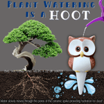 Owl Ceramic Watering Spike - Napa Valley Wildflower Co.