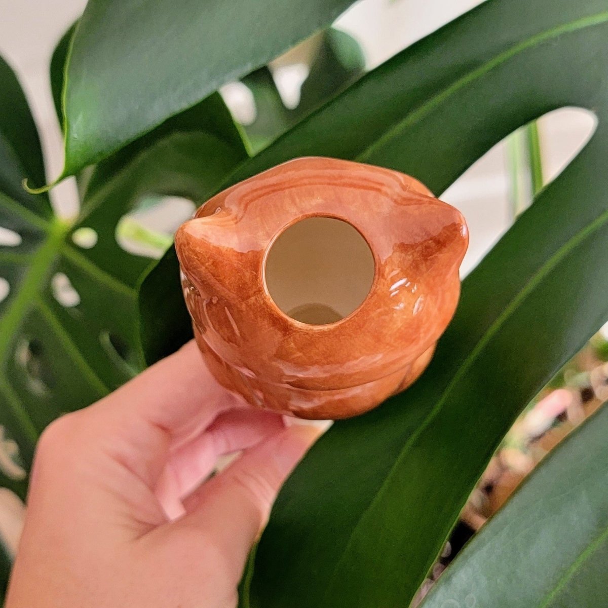 Owl Ceramic Watering Spike - Napa Valley Wildflower Co.