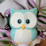 Owl Ceramic Watering Spike - Napa Valley Wildflower Co.