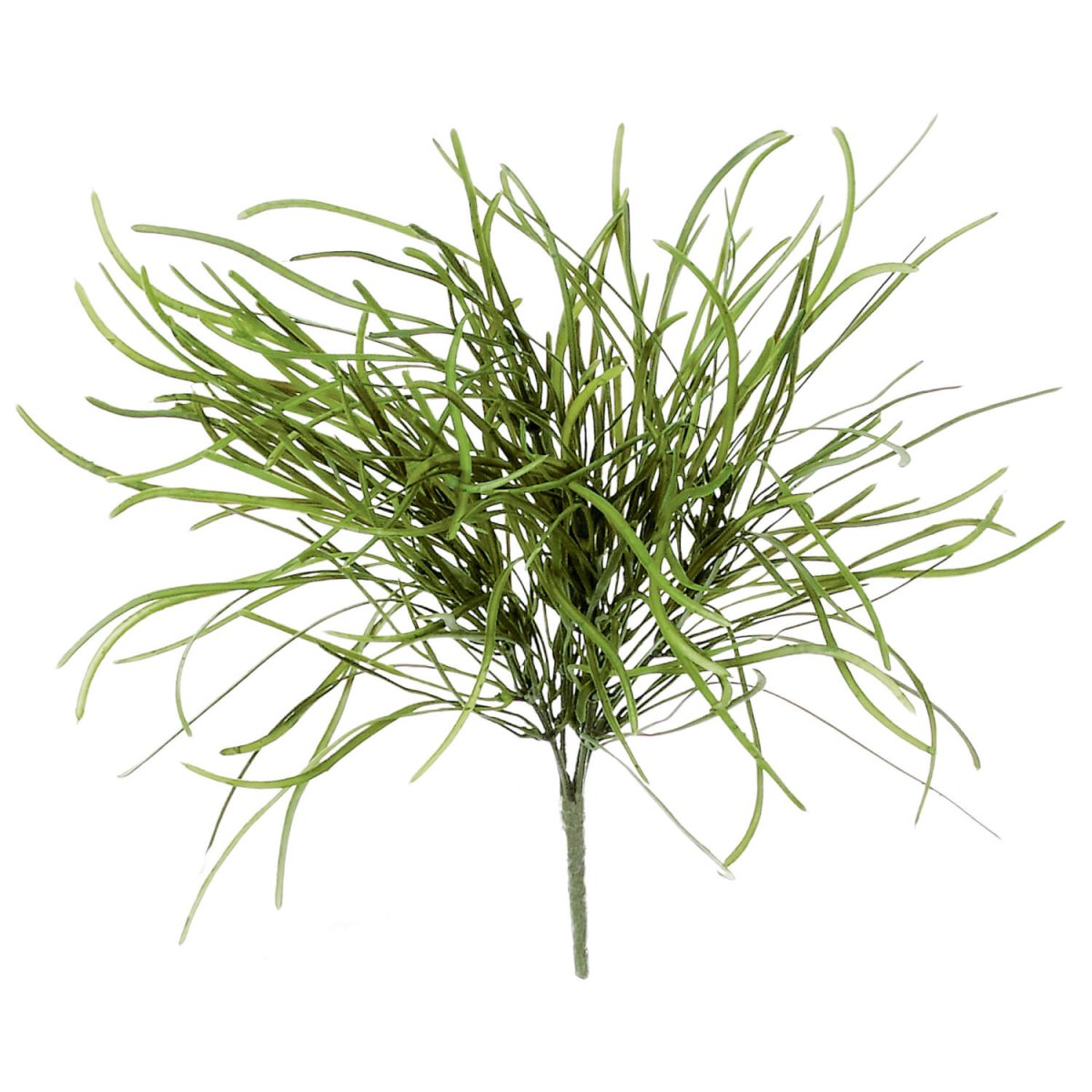 Pearl Grass Accent Bush Pick - Napa Valley Wildflower Co.